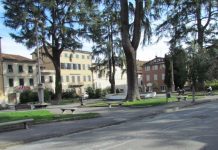 Adozione di aree a verde pubblico, giardini e arredi urbani. Come fare