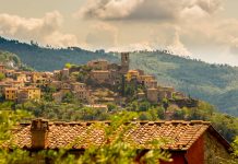 Si parla di Castelvecchio in un post italo-svedese