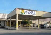 Flora Toscana, numeri record per la ricorrenza dei defunti