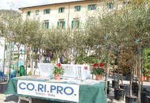 Coriplo e Vivai di Pescia “tifano” per l’Agraria