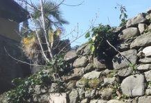 Le immagini sacre in via San Policronio. Patrimonio da riscoprire