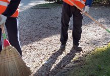 Reati minori. Tra le pene alternative la manutenzione di aree di verde pubblico e progetti di agricoltura sociale