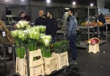 Casapound, “C’è da firmare le liste”. Ed invita le casse rurali all’interno del Mefit