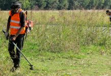 Parte il taglio dell’erba. I primi interventi a Veneri, poi sul fiume, viale Garibaldi e gli Alberghi