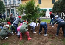 Sei nuovi alberi al parco Elisabetta. Mercoledì