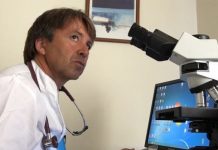 Capitanini è responsabile della struttura complessa di nefrologia a Pistoia