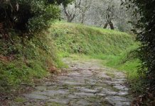 Adotta un sentiero. L’idea di Bellandi per rilanciare l’escursionismo sportivo