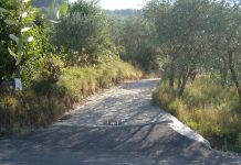 MISERXPERIENCE. Camminata in via della Fiaba. Ricavato alla Misericordia