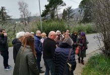 Mangia la foglia, tra poco c’è Naturalitas