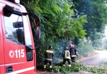 Maltempo. I vigili del fuoco intervengono in strada di montagna