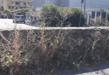Pescia? Sporca e trascurata. Speriamo nel Palio