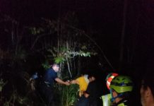 Anziano disperso nel bosco. Il recupero nella notte