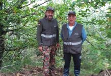 Raccolta funghi. “Rispettare l’ambiente. Multe in arrivo”