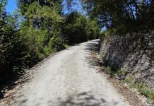 Collodi-Pontito, migliorata la viabilità forestale