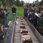lombrichi