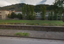Allerta vento. Pompieri al lavoro per alberi pericolanti. Altri rischi