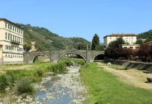 Giurlani su Fase 2, “avanti sì, ma con cautela”. Task force