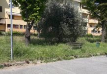 Genitori, “ripulire aree a verde pubbliche tra i condomini”