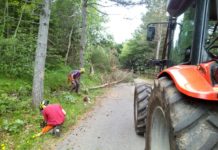 Cura Italia. Al via manutenzione del paesaggio e boschiva