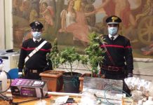 Musica a tutto volume. Carabinieri scoprono coltivazione fai-da-te di marijuana