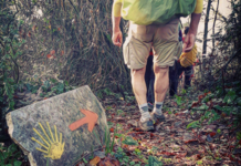 Passa da Pescia un tratto del Cammino verso Santiago di Compostella. Le tappe