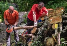 Apre domenica apre il Sentiero 50. Recuperati i cippi confinari del Catasto Leopoldino
