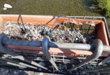 I soliti vandali… . A fuoco un conchino di ponte San Francesco