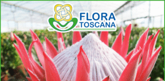 I FIORI DA REGALARE PER LA FESTA DI SAN VALENTINO.Flora Toscana a TVL Tvlibera