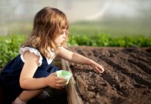 Al via “Con i piedi per terra”. Esperienze negli orti di Valchiusa e Alberghi