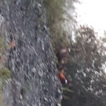 IMG-20201110-WA0000