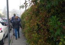 Partito Democratico: “Erbacce nei pressi della scuola, ci pensiamo noi”