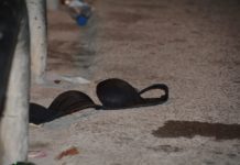 Abusa sessualmente di ragazza minorenne dopo averla fatta ubriacare. Barman arrestato