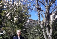8 marzo. Viva le donne! | Francesco Bellandi e Rosy Gianneschi