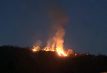 Divampa un incendio in montagna. Distrutti ettari di bosco