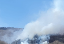 Incendio boschivo in val di Torbola