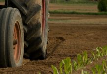 Benefici per le aziende agricole. Esonero contributi, come presentare istanza
