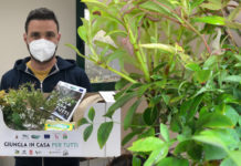 Le scatole di Michele per una giungla in casa. Donazioni al pronto soccorso pediatrico