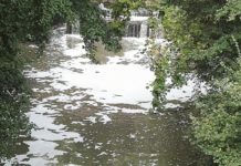 Arpat, prelevato un campione di acqua del Pescia a Sorana. Schiuma