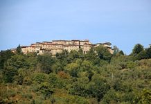 Medicina in festa con il Mercatino di San Martino