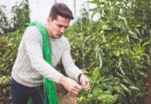 Nuovo contratto in agricoltura. Confederazioni: “aumenta competitività del settore”