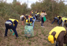Via a Puliamo il mondo. Le scorse edizioni a Pescia. Un motorino e oli esausti