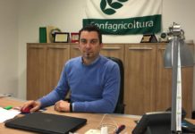 Confagricoltura, “Uliveti abbandonati e usati come discariche, l’olivicoltura pistoiese è al collasso”