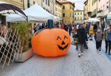 Successo di Halloween. Bonazzi, “Unire le forze fa bene alla città”