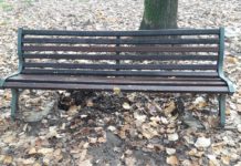 “Cari amministratori…”, bene il PNRR, ma intanto si pensi a tenere decorosa la città. Le foto