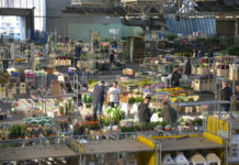 Mefit, si al bilancio. In aumento i ricavi, giù le aziende iscritte