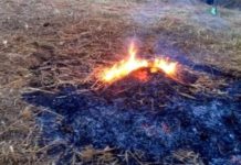 Prorogato il divieto di abbruciamento