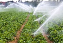 Bando gestione risorse idriche scopi irrigui