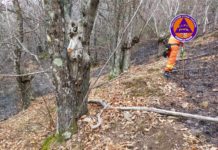 Incendio sulle nostre colline. Si teme piromane.