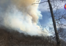 Allarme piromane, tre incendi in poche ore. Tutte le foto delle squadre intervenute