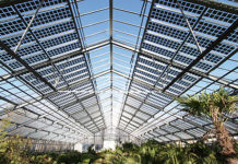 Pannelli fotovoltaici sui tetti delle serre. Opportunità per vivaisti pesciatini